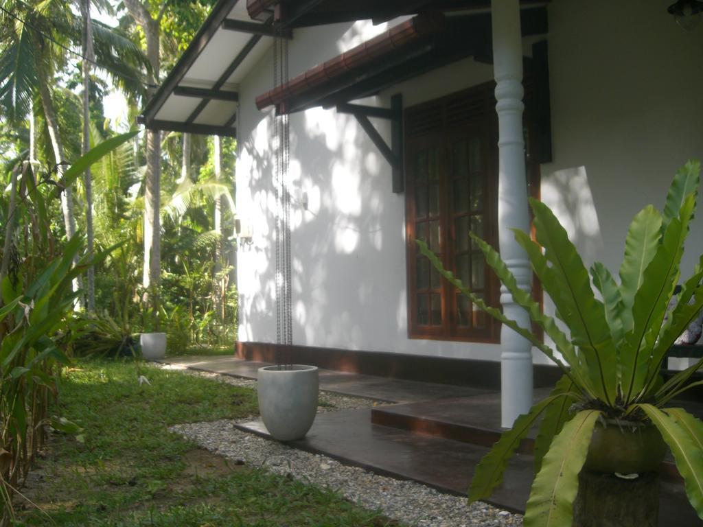 Bird Villa Galle Habitación foto